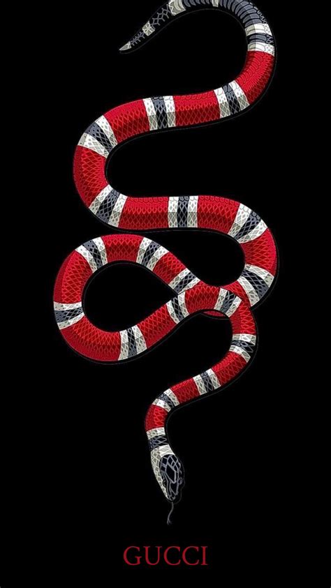 download gucci snake official video|gucci snake collection.